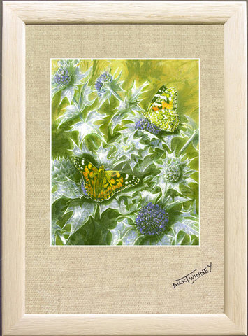 Image of Painted Ladies & Sea Holly, Crooklets Beach Sand Dunes, Bude